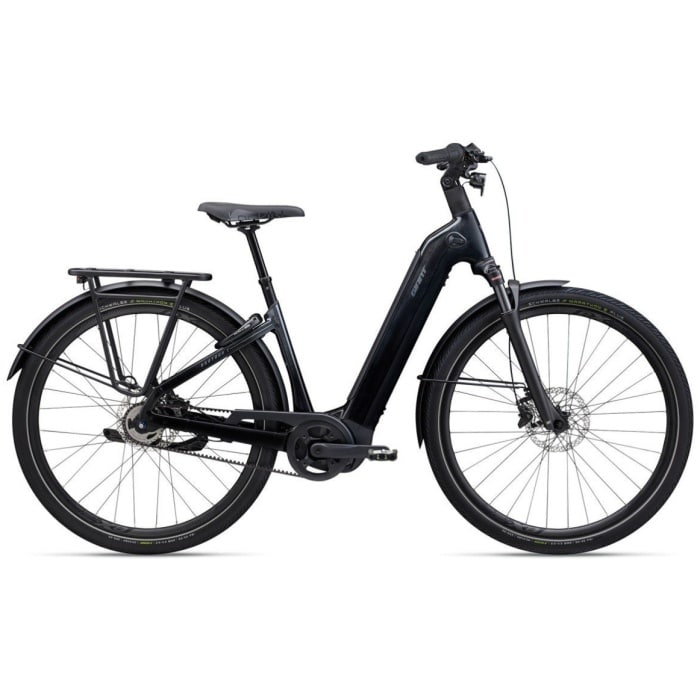 Giant AnyTour E+ 800Wh Lageinstap 2024
